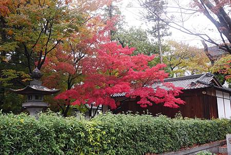 IMG_9395.JPG IMG_9395.JPG