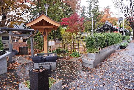 IMG_9396.JPG IMG_9396.JPG