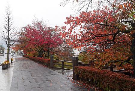 IMG_9399.JPG IMG_9399.JPG