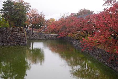 IMG_9401.JPG IMG_9401.JPG