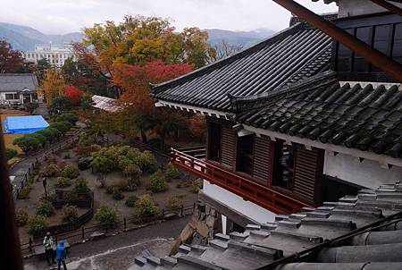 IMG_9428.JPG IMG_9428.JPG