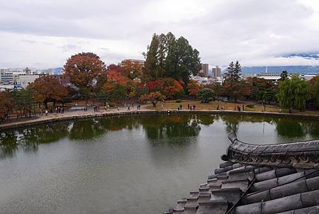 IMG_9444.JPG IMG_9444.JPG