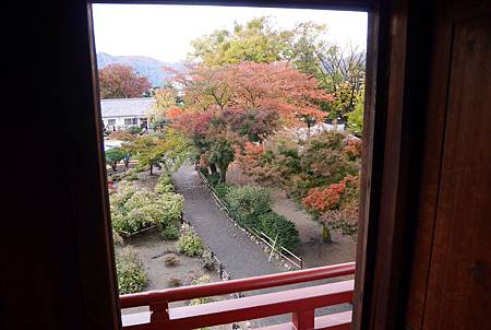 IMG_9446.JPG IMG_9446.JPG