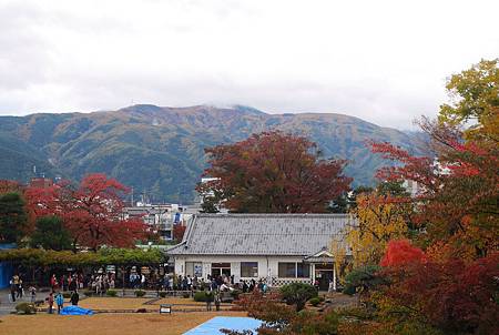 IMG_9447.JPG IMG_9447.JPG