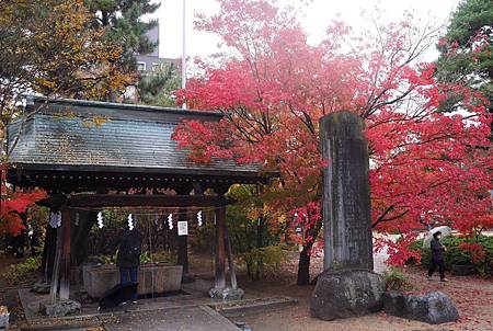 IMG_9461.JPG IMG_9461.JPG