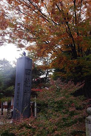 IMG_9462.jpg IMG_9462.jpg