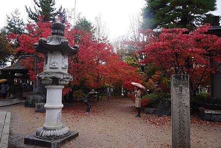 IMG_9463.JPG IMG_9463.JPG