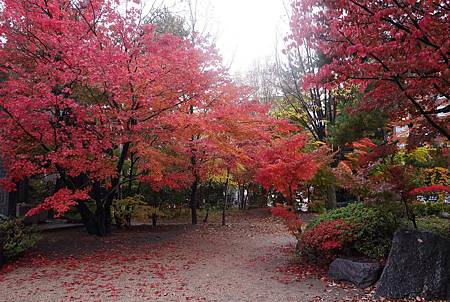 IMG_9464.JPG IMG_9464.JPG