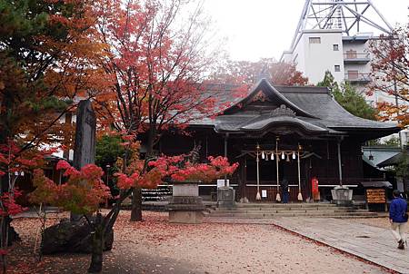 IMG_9465.JPG IMG_9465.JPG