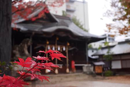 IMG_9467.JPG IMG_9467.JPG