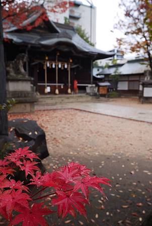 IMG_9468.jpg IMG_9468.jpg