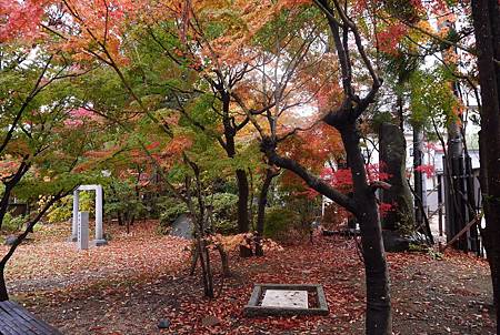 IMG_9470.JPG IMG_9470.JPG