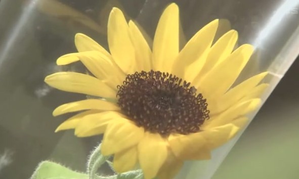 [SUBPIG][零秒出手 BUZZER BEAT ep10][(012704)23-44-36].JPG