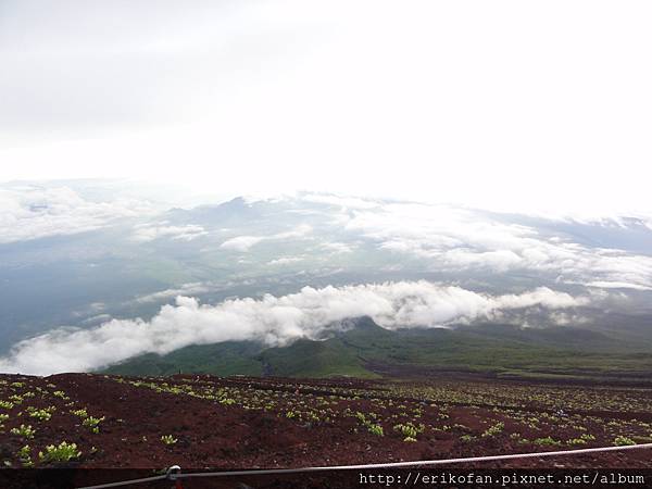 DSC02271.JPG DSC02271.JPG