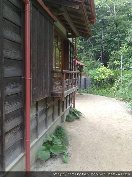 IMG_1012.JPG IMG_1012.JPG