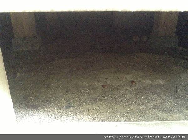 IMG_1014.JPG IMG_1014.JPG