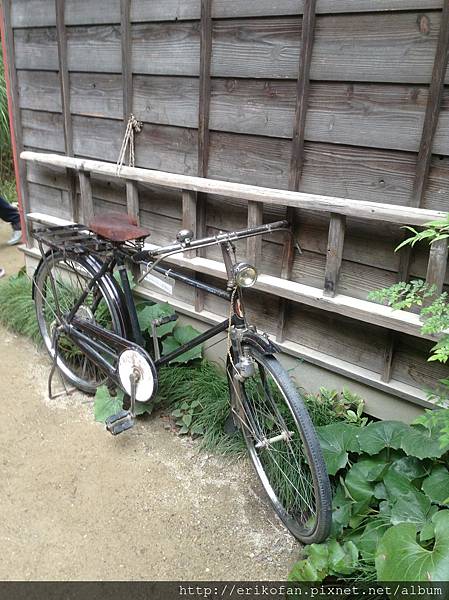 IMG_1017.JPG IMG_1017.JPG