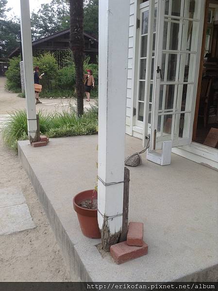 IMG_1031.JPG IMG_1031.JPG