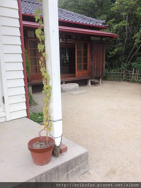 IMG_1032.JPG IMG_1032.JPG