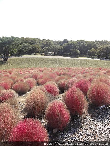 DSC04842.JPG DSC04842.JPG