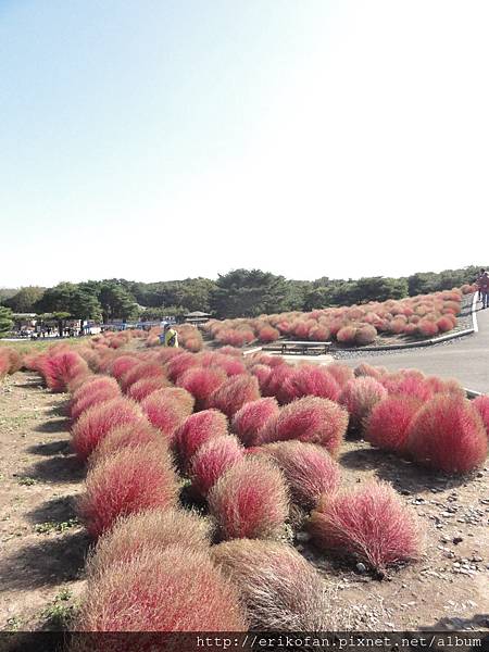 DSC04848.JPG DSC04848.JPG