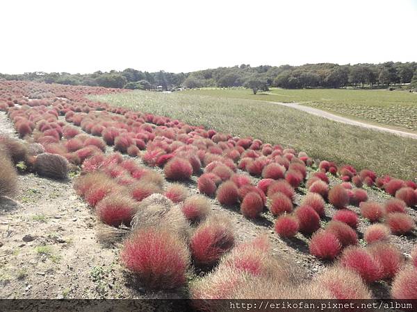 DSC04851.JPG DSC04851.JPG