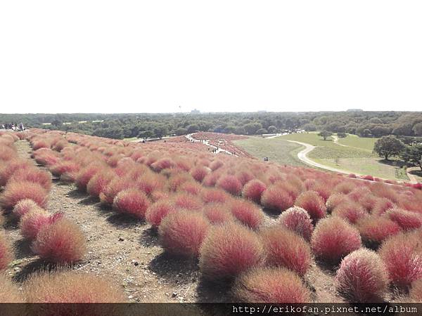 DSC04875.JPG DSC04875.JPG