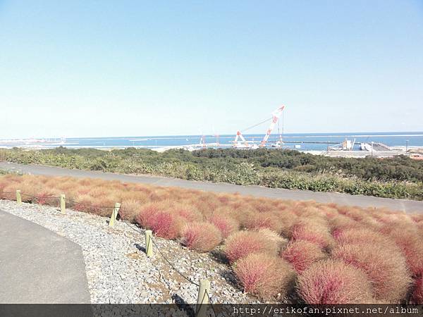 DSC04881.JPG DSC04881.JPG