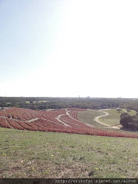 DSC04900.JPG DSC04900.JPG