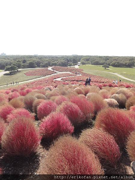 DSC04914.JPG DSC04914.JPG