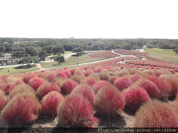 DSC04920.JPG DSC04920.JPG