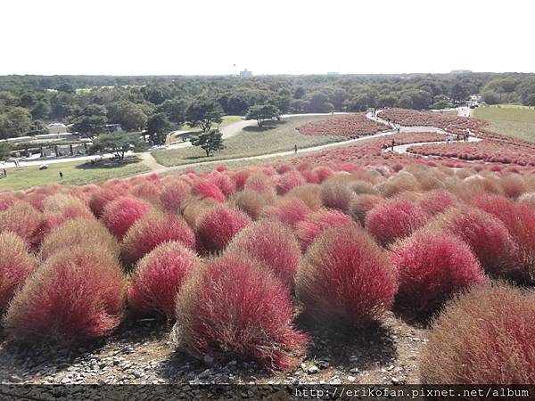 DSC04923.JPG DSC04923.JPG