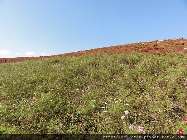 DSC04963.JPG DSC04963.JPG