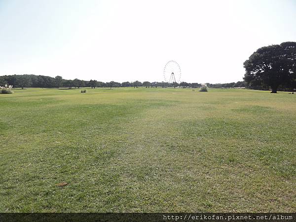 DSC04964.JPG DSC04964.JPG