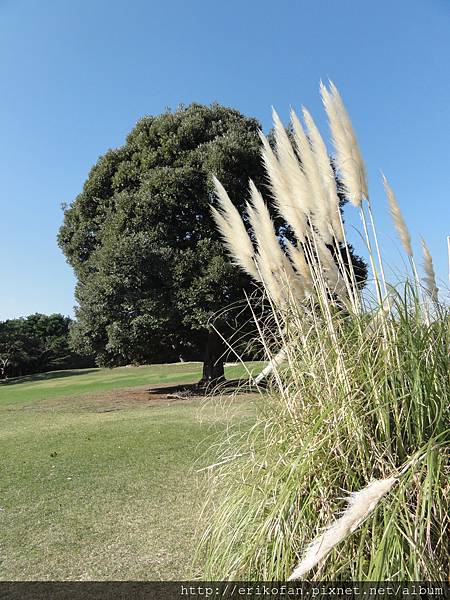 DSC04967.JPG DSC04967.JPG