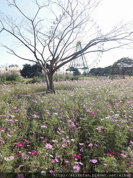 DSC04970.JPG DSC04970.JPG