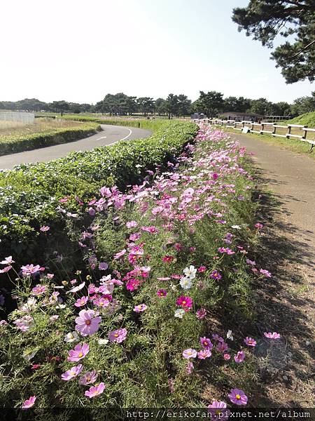 DSC04975.JPG DSC04975.JPG