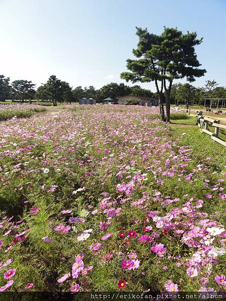 DSC04981.JPG DSC04981.JPG