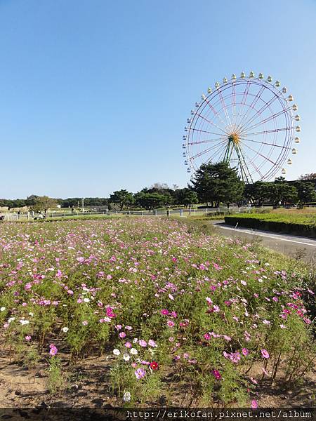 DSC04983.JPG DSC04983.JPG