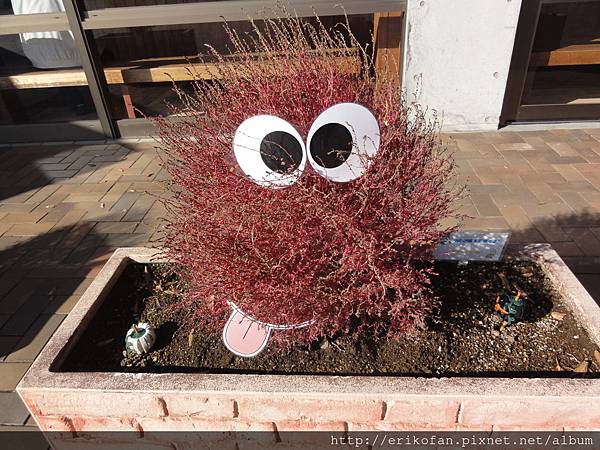 DSC04984.JPG DSC04984.JPG