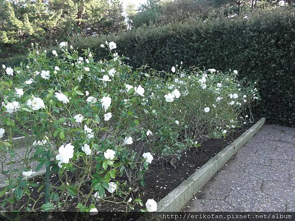 DSC04987.JPG DSC04987.JPG