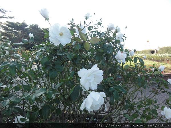 DSC04993.JPG DSC04993.JPG