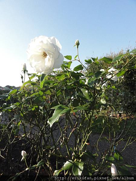 DSC05014.JPG DSC05014.JPG