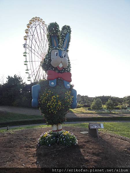 DSC05020.JPG DSC05020.JPG