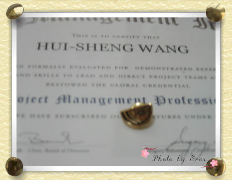 Pmp Pin