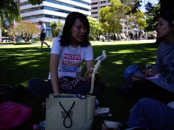 IMGP7818.JPG IMGP7818.JPG