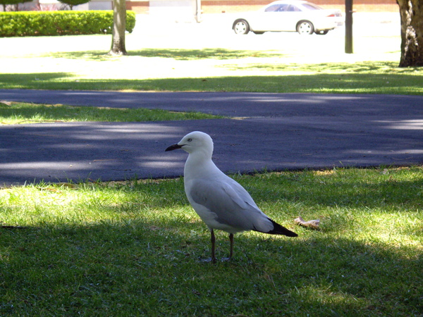 IMGP7821.JPG IMGP7821.JPG