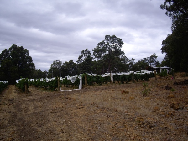 IMGP8928.JPG IMGP8928.JPG