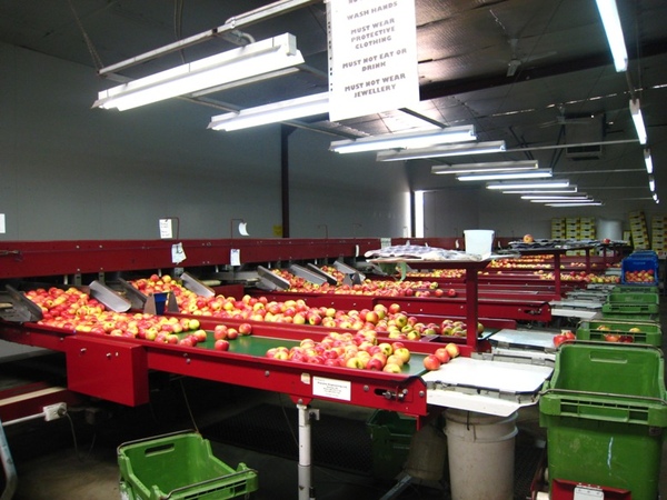 IMG_4716.JPG IMG_4716.JPG