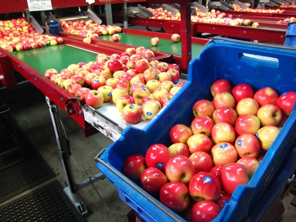 IMG_4722.JPG IMG_4722.JPG